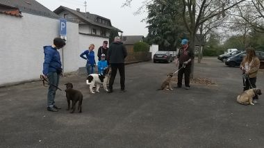 Hundeschule Welpe